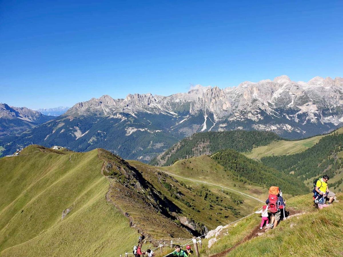 Family Hotel Andes - Only For Family Vigo di Fassa Ngoại thất bức ảnh